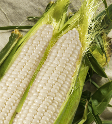 Brentwood Corn