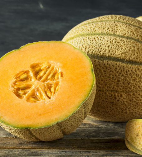 Heirloom Cantaloupe AKA Tuscan Melon